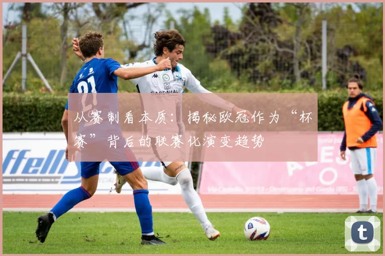 从赛制看本质：揭秘欧冠作为“杯赛”背后的联赛化演变趋势