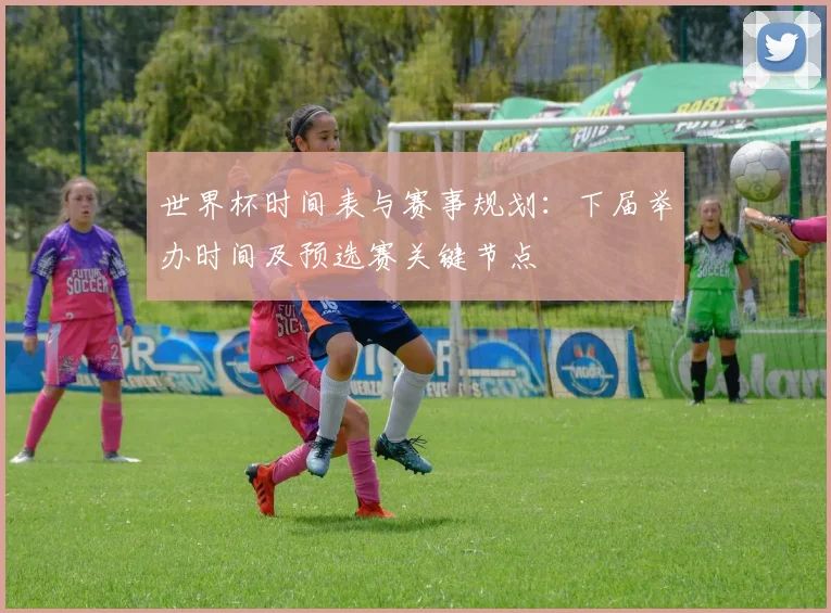 世界杯时间表与赛事规划：下届举办时间及预选赛关键节点